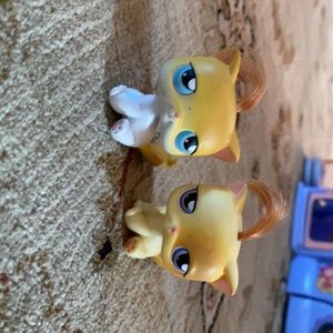 Littlest Pet Shop Cats